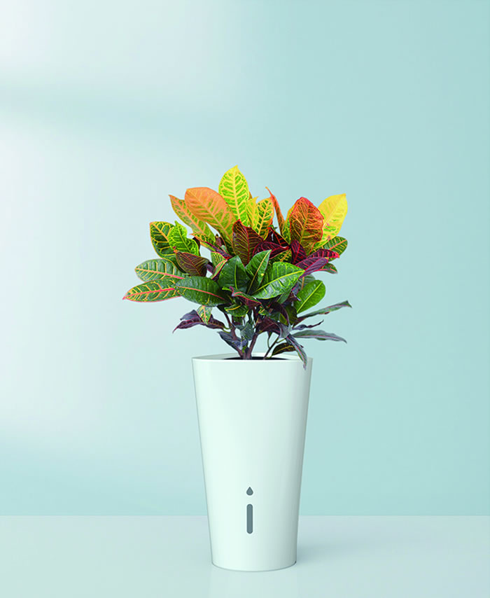 室內(nèi)租賃組合花箱