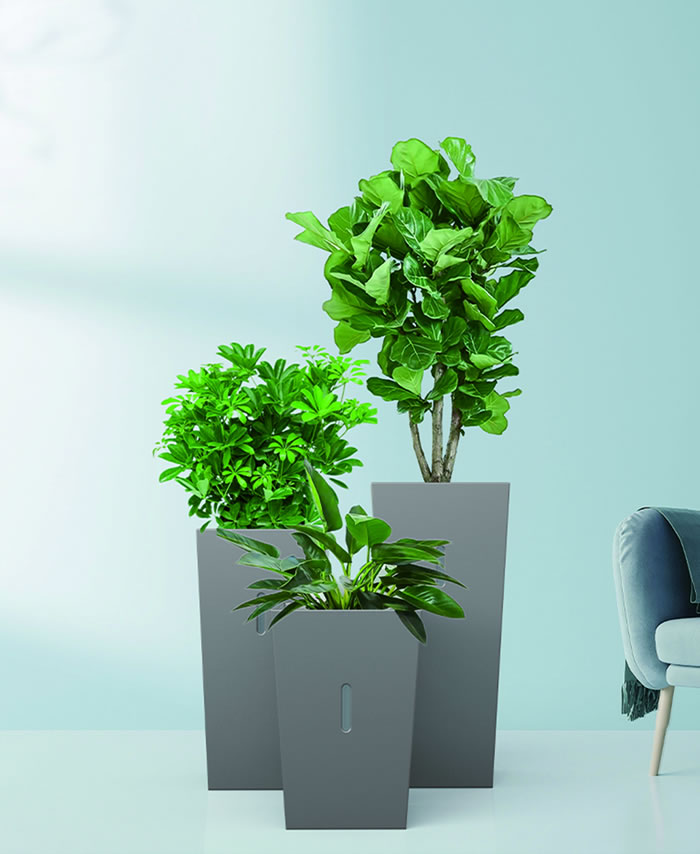 室內(nèi)租賃組合花箱