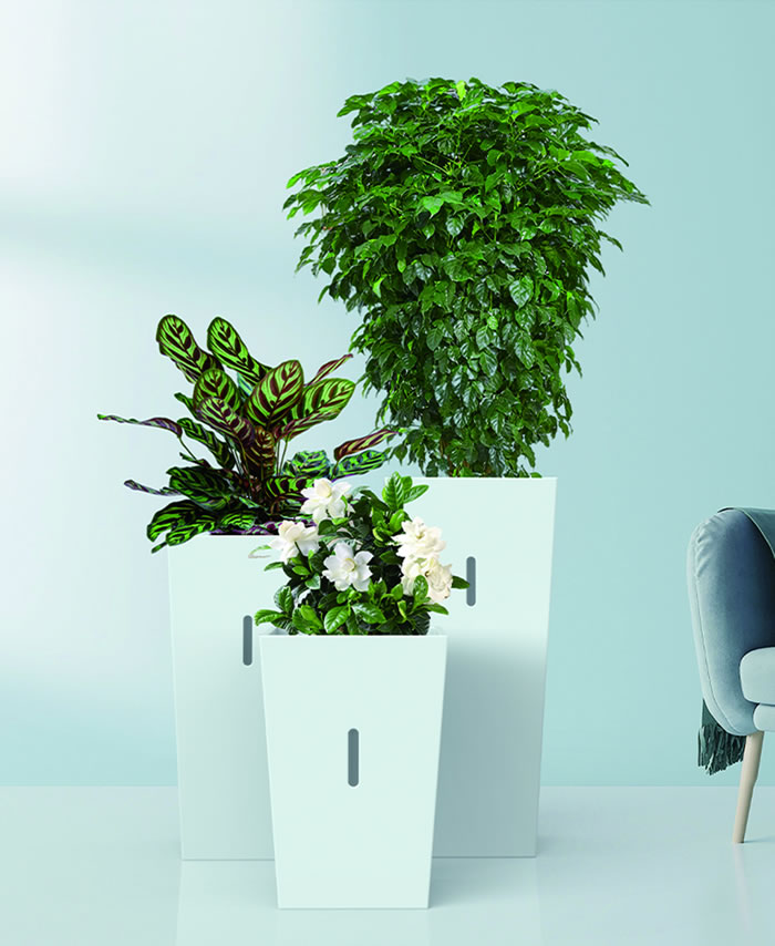 室內租賃組合花箱