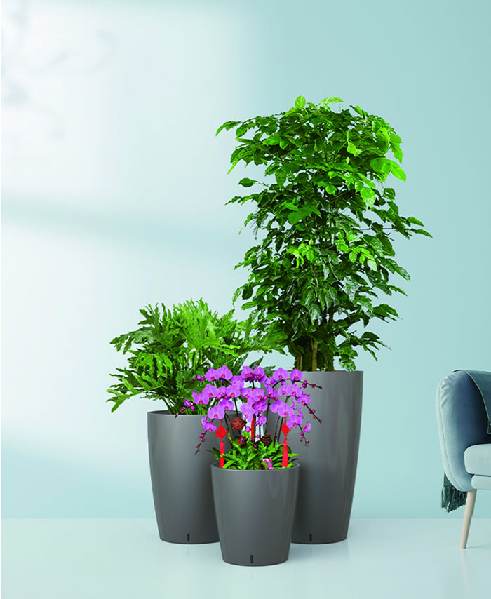 室內租賃組合花箱