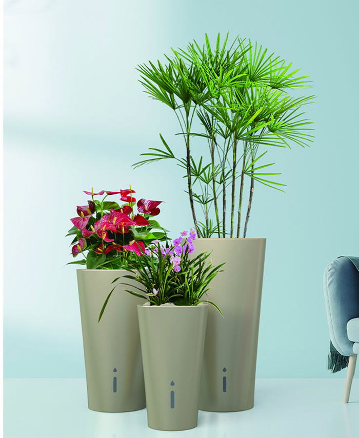 室內租賃組合花箱