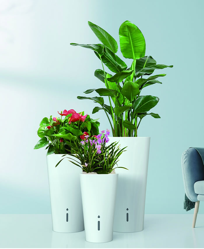 室內租賃組合花箱