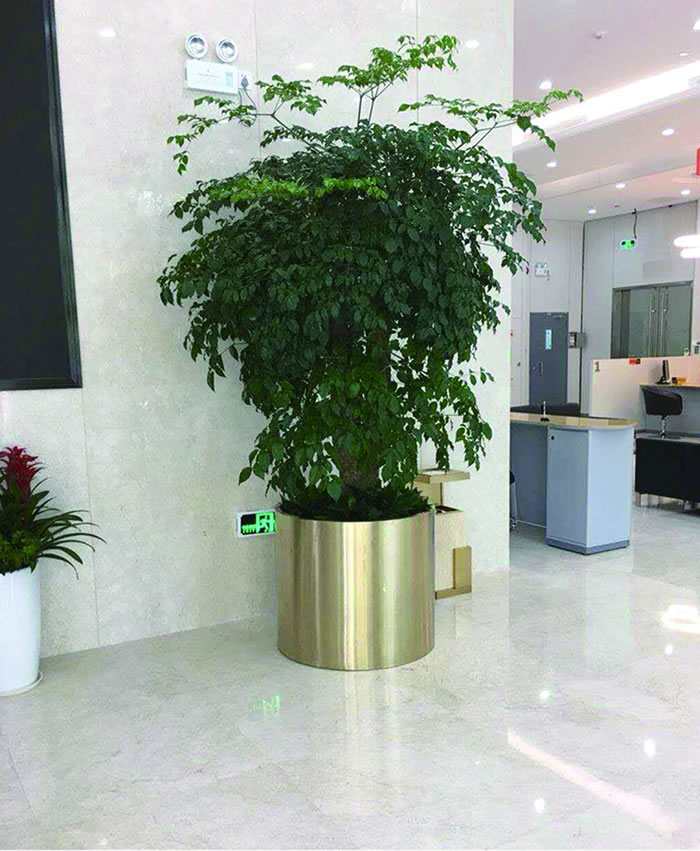 室內(nèi)租賃組合花箱