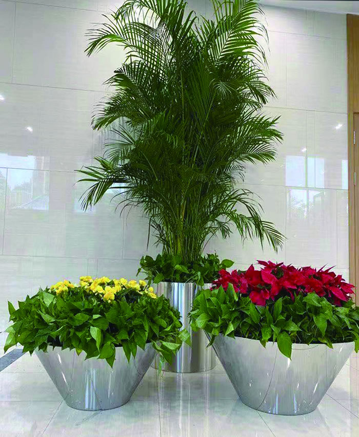 室內(nèi)租賃組合花箱