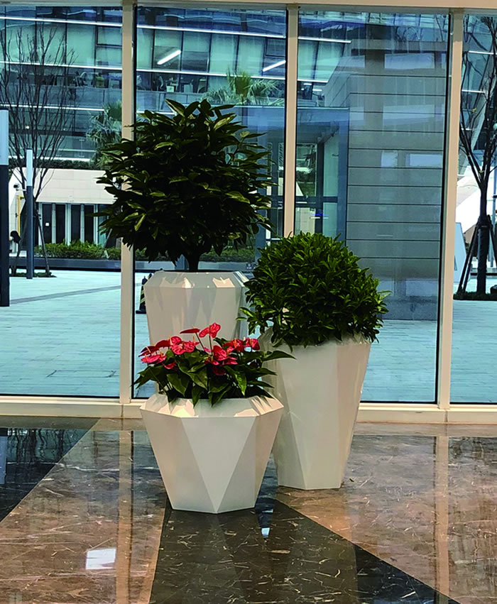 室內(nèi)租賃組合花箱