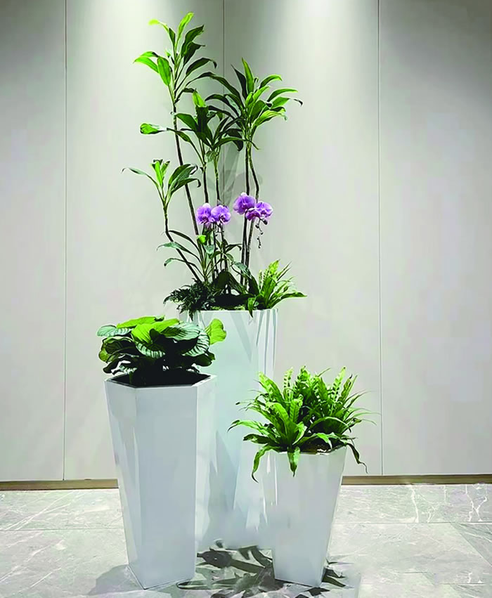 室內(nèi)租賃組合花箱