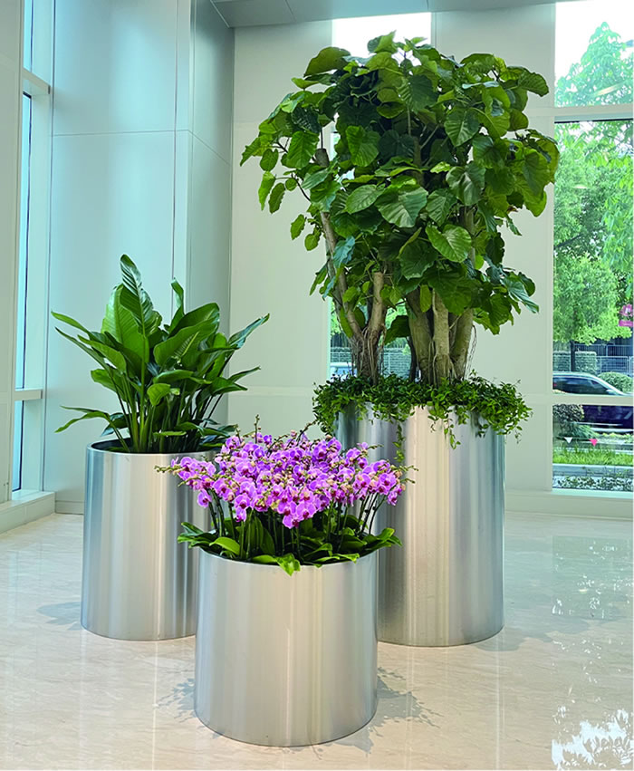 室內(nèi)租賃組合花箱