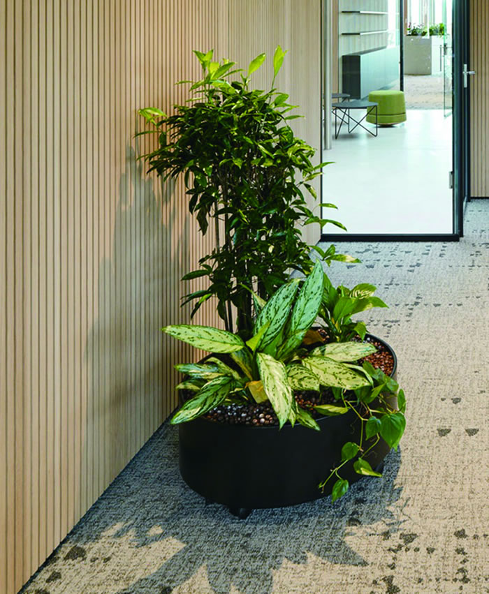 室內(nèi)租賃組合花箱