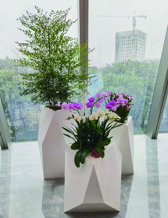 室內(nèi)租賃組合花箱