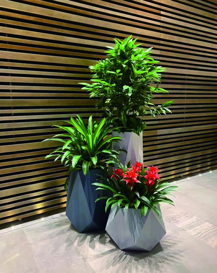 室內(nèi)租賃組合花箱