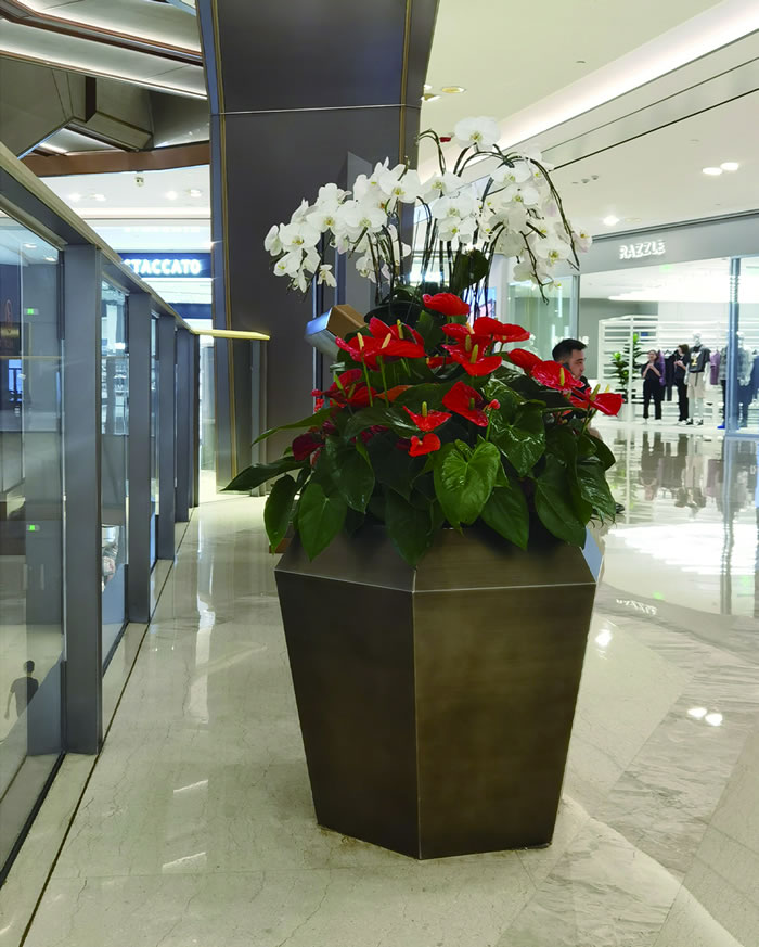 室內(nèi)租賃組合花箱